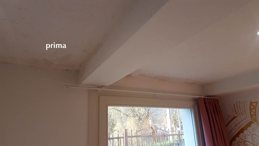 Fastisol, isolamento soffitto con schiuma traspirante Fastisol, isolamento soffitto con schiuma traspirante
